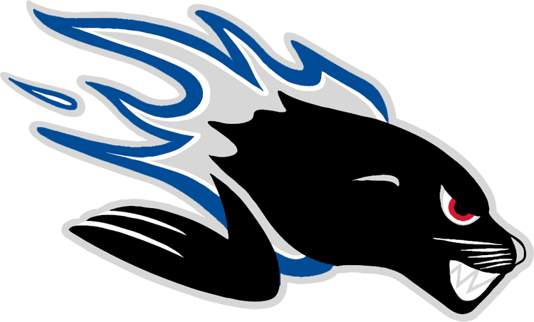 Saint John Sea Dogs iron ons